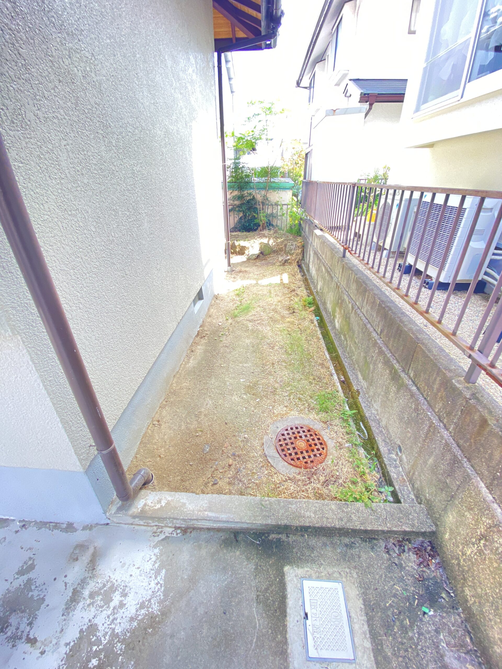 庭（西側　2021.9.24撮影）